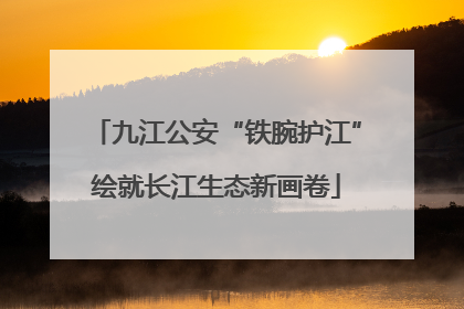 九江公安“铁腕护江”绘就长江生态新画卷