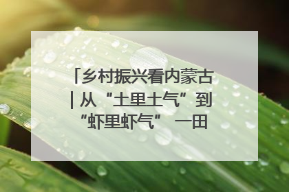 乡村振兴看内蒙古｜从“土里土气”到“虾里虾气” 一田双收模式火出圈