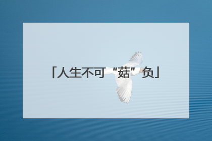 人生不可“菇”负