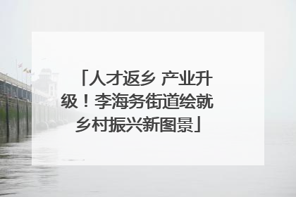 人才返乡 产业升级！李海务街道绘就乡村振兴新图景