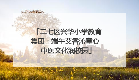二七区兴华小学教育集团：端午艾香沁童心 中医文化润校园