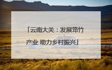 云南大关：发展筇竹产业 助力乡村振兴
