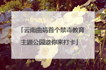 云南曲靖首个禁毒教育主题公园邀你来打卡