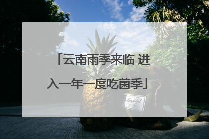 云南雨季来临 进入一年一度吃菌季