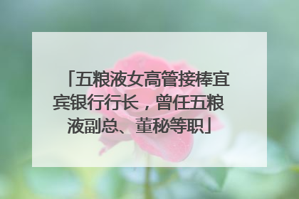 五粮液女高管接棒宜宾银行行长，曾任五粮液副总、董秘等职