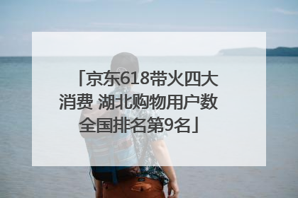 京东618带火四大消费 湖北购物用户数全国排名第9名