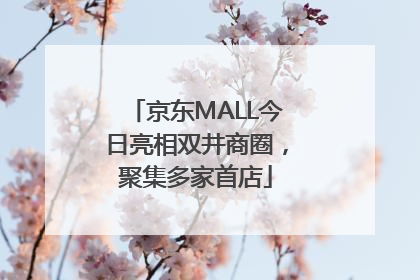 京东MALL今日亮相双井商圈，聚集多家首店