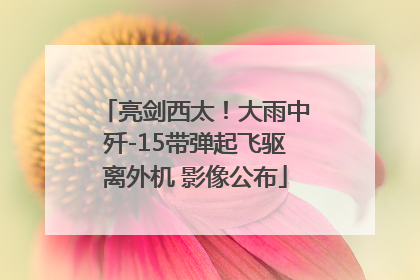 亮剑西太！大雨中歼-15带弹起飞驱离外机 影像公布