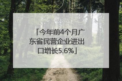今年前4个月广东省民营企业进出口增长5.6%