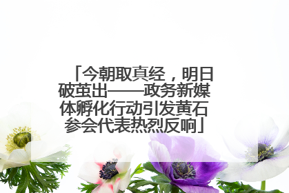 今朝取真经，明日破茧出——政务新媒体孵化行动引发黄石参会代表热烈反响
