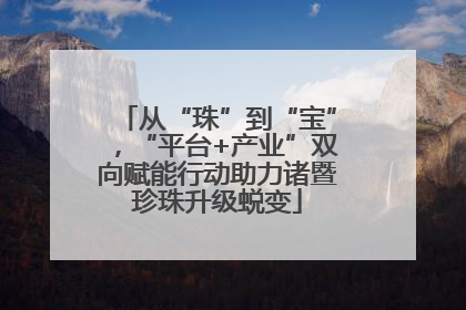 从“珠”到“宝”，“平台+产业”双向赋能行动助力诸暨珍珠升级蜕变