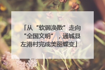 从“软弱涣散”走向“全国文明”，通城县左港村完成美丽蝶变