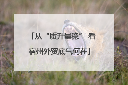 从“质升量稳” 看宿州外贸底气何在