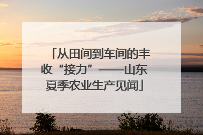 从田间到车间的丰收“接力”——山东夏季农业生产见闻