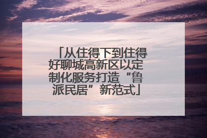 从住得下到住得好聊城高新区以定制化服务打造“鲁派民居”新范式