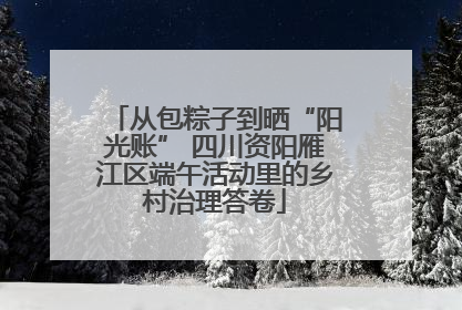 从包粽子到晒“阳光账” 四川资阳雁江区端午活动里的乡村治理答卷