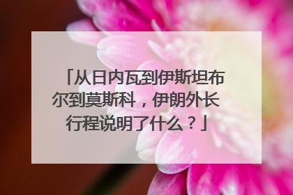 从日内瓦到伊斯坦布尔到莫斯科，伊朗外长行程说明了什么？