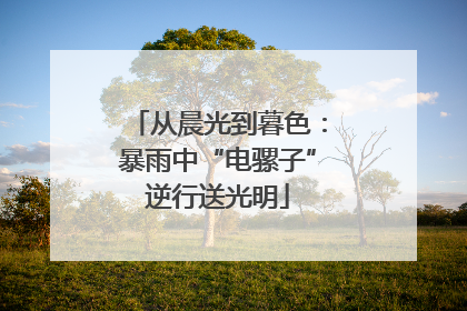 从晨光到暮色：暴雨中“电骡子”逆行送光明