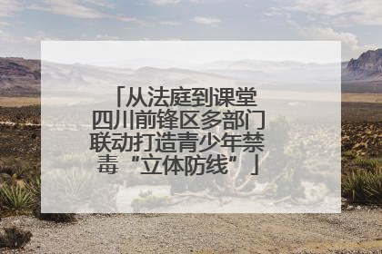 从法庭到课堂 四川前锋区多部门联动打造青少年禁毒“立体防线”