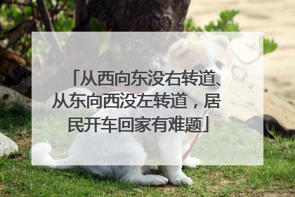 从西向东没右转道、从东向西没左转道，居民开车回家有难题