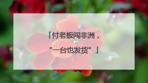 付老板闯非洲，“一台也发货”