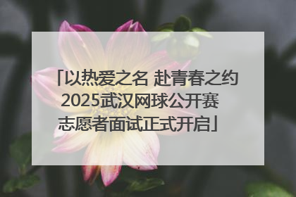 以热爱之名 赴青春之约 2025武汉网球公开赛志愿者面试正式开启