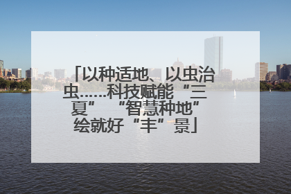 以种适地、以虫治虫……科技赋能“三夏” “智慧种地”绘就好“丰”景
