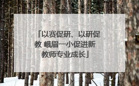 以赛促研、以研促教 峨眉一小促进新教师专业成长