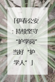 伊春公安：持续坚守“护学岗” 当好“护学人”