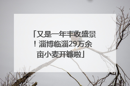 又是一年丰收盛景！淄博临淄29万余亩小麦开镰啦