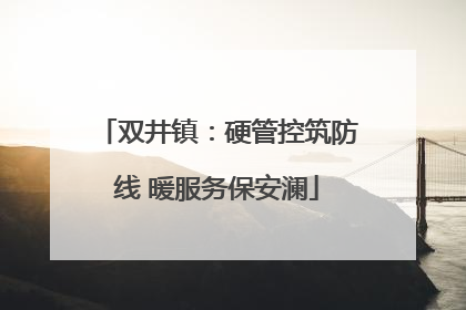 双井镇：硬管控筑防线 暖服务保安澜
