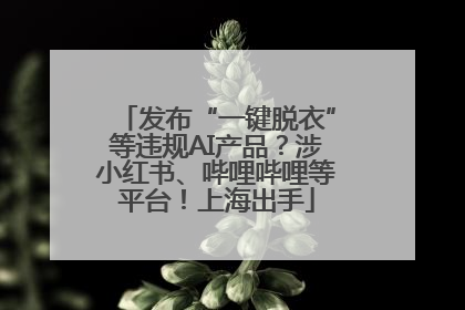 发布“一键脱衣”等违规AI产品？涉小红书、哔哩哔哩等平台！上海出手