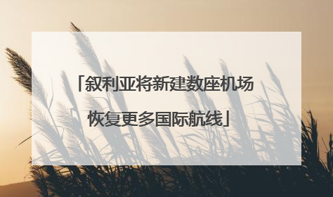 叙利亚将新建数座机场 恢复更多国际航线