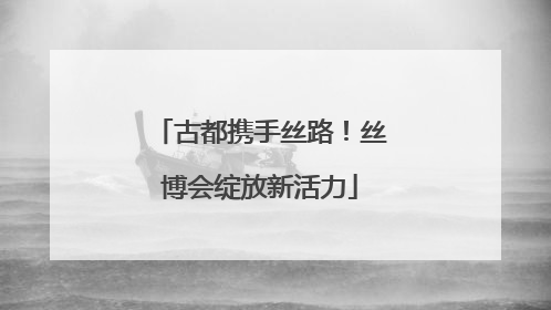 古都携手丝路！丝博会绽放新活力