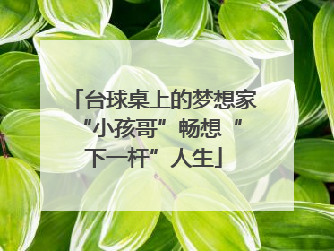 台球桌上的梦想家 “小孩哥”畅想“下一杆”人生