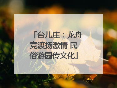 台儿庄：龙舟竞渡扬激情 民俗游园传文化