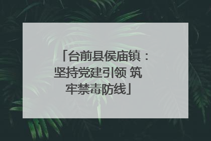 台前县侯庙镇：坚持党建引领 筑牢禁毒防线