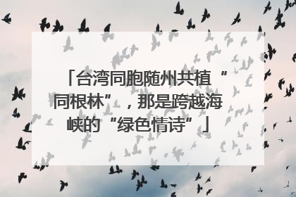台湾同胞随州共植“同根林”，那是跨越海峡的“绿色情诗”