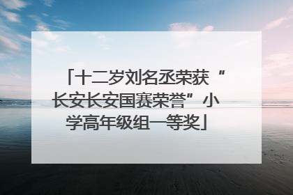 十二岁刘名丞荣获“长安长安国赛荣誉”小学高年级组一等奖