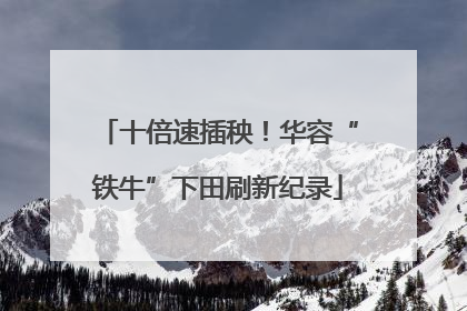 十倍速插秧！华容“铁牛”下田刷新纪录