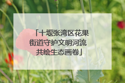 十堰张湾区花果街道守护文明河流 共绘生态画卷