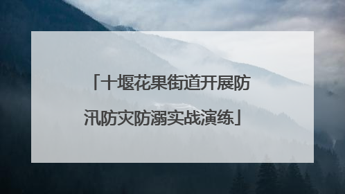 十堰花果街道开展防汛防灾防溺实战演练