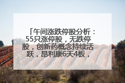 午间涨跌停股分析：55只涨停股，无跌停股，创新药概念持续活跃，昂利康6天4板，众生药业2连板
