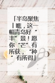 半岛聚焦丨瞧，这一幅青岛好“丰”景！愿你“芒”有所获，“种”有所得
