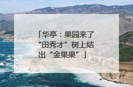 华亭：果园来了“田秀才”树上结出“金果果”