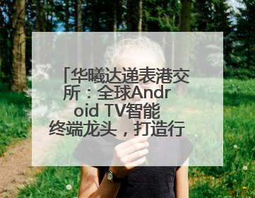 华曦达递表港交所：全球Android TV智能终端龙头，打造行业新模范