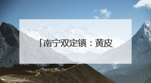 南宁双定镇：黄皮果变“黄金果”