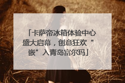 卡萨帝冰箱体验中心盛大启幕，创意狂欢“嵌”入青岛富尔玛