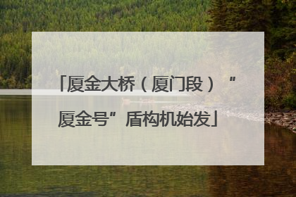 厦金大桥（厦门段）“厦金号”盾构机始发
