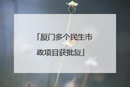 厦门多个民生市政项目获批复